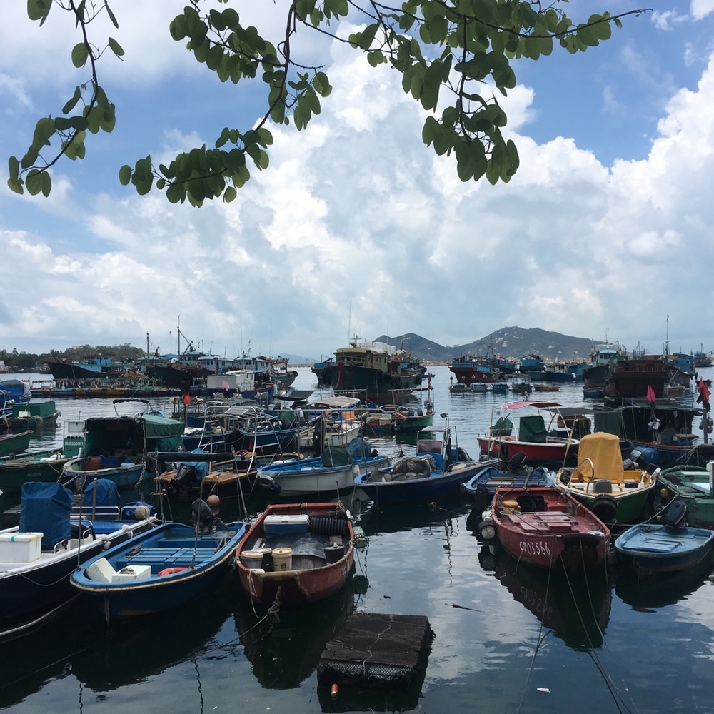 Meet your Posher, Kelsey